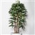 PLANT IMAGE RAPHIS PALM 1800 X 900MM