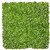 PLANT IMAGE MONEY LEAF TILE 1000 X 1000MM GREEN